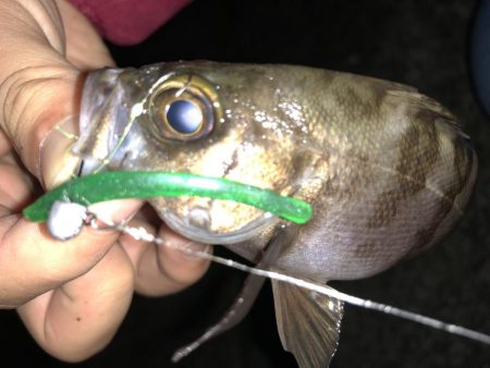 やっぱり強かった！！スペシャルグリーン！！