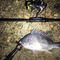 チニング 今年初の40オーバー