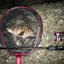 泉南ライトゲーム