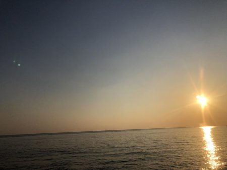 青物つれません