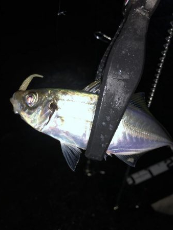 雨の中でのジグ単