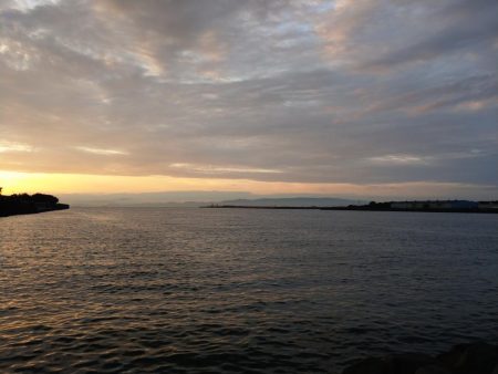 シーバスが留守中。