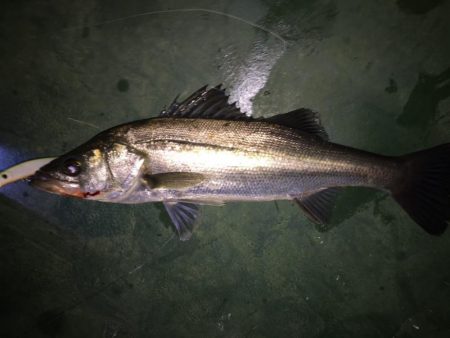 バチパターン初の友人1本＆自分10発w