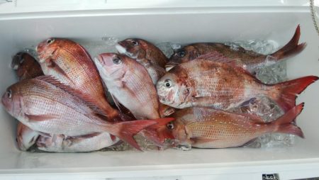 第二美丸　真鯛完全ふかせ