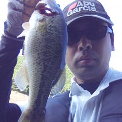 バスは見えますが…