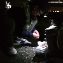 尺アジ出てこいやぁー！