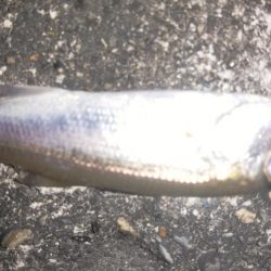 家族旅行の送迎