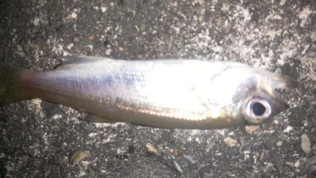 家族旅行の送迎