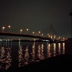 南港カモメ大橋ヘチ釣行 (キビレ42cm釣果有り他)