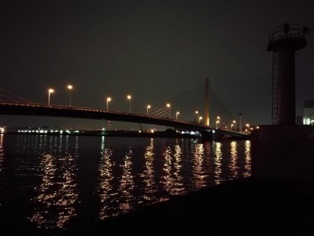 南港カモメ大橋ヘチ釣行 (キビレ42cm釣果有り他)