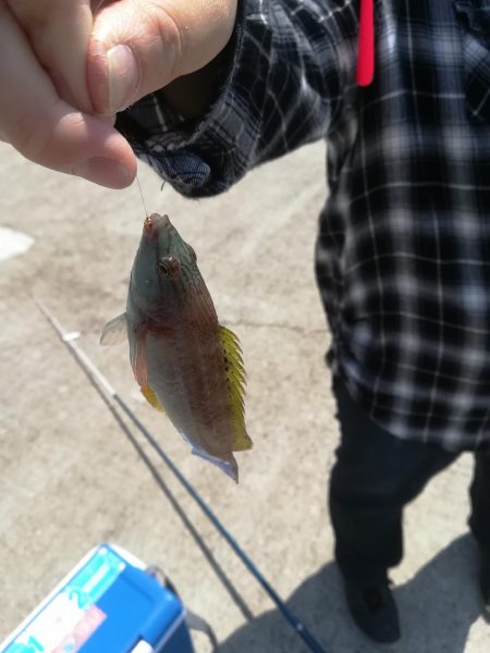 キス狙いのはずが、、、