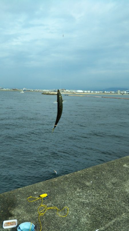 岸和田一文字 北の沖