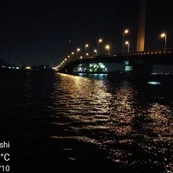 南港カモメ大橋ヘチ釣行 (キビレ32cm,31cm,25cmUP 釣果)