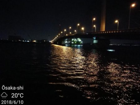 南港カモメ大橋ヘチ釣行 (キビレ32cm,31cm,25cmUP 釣果)