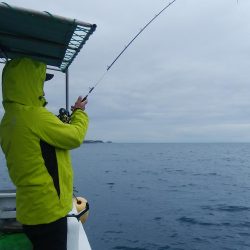 第二美丸　マダイ完全ふかせ