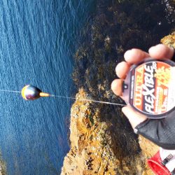 仲間内のゆかいな大会