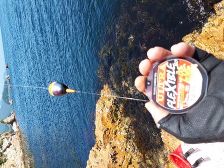 仲間内のゆかいな大会