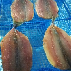 プルプルブルブル