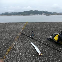 潮の下げ始めからショアラバ開始で、、、