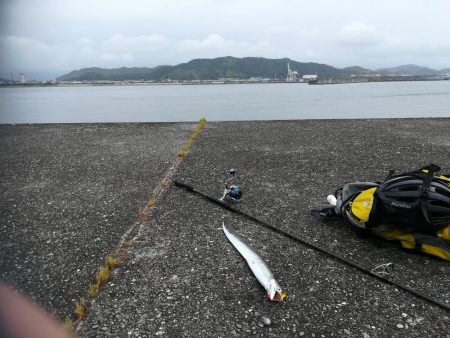 潮の下げ始めからショアラバ開始で、、、