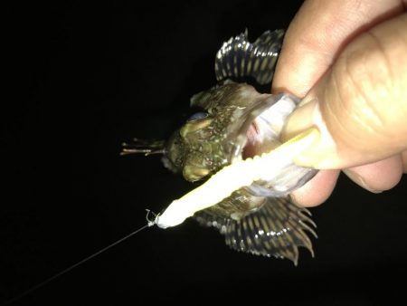 今夜もガッシーマンション！