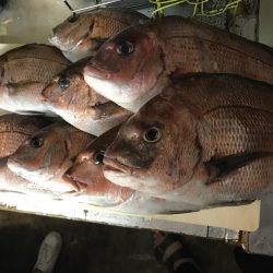 田尻の釣堀にて