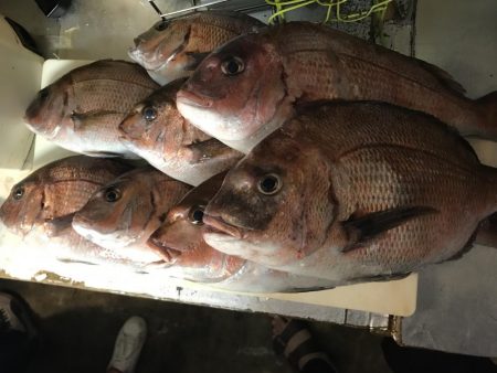 田尻の釣堀にて