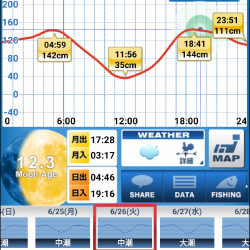 本気のタケノコ狩り
