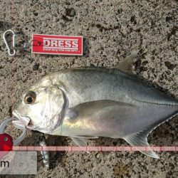 台風明け早朝からキャストです。