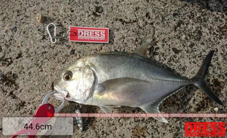 台風明け早朝からキャストです。