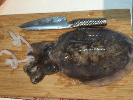 タコエギでイカ