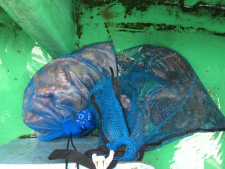 船タコ釣り　良型多し