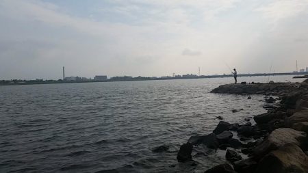 チニングでキビレGET！