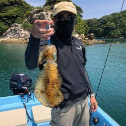 ボートエギング