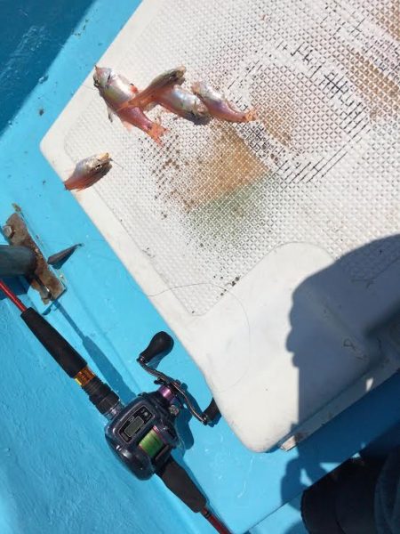 ボートフィッシング