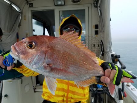 遊漁船 ニライカナイ 釣果