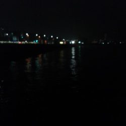 エラがかり、ボラばかり