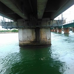 弁天島 エサ釣り