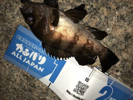 雨上がりメバリング