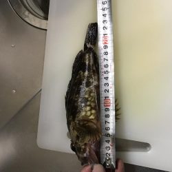 息子と休日釣行