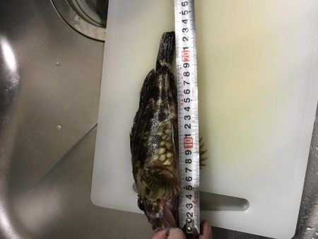 息子と休日釣行