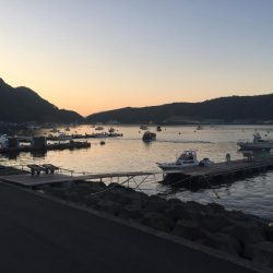 高浜　音海での手漕ぎボート