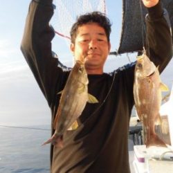 土佐安芸のハマちゃんの釣果