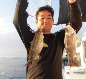 土佐安芸のハマちゃんの釣果