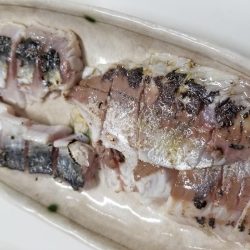 アジ　カサゴ　太刀魚　エイ