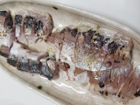 アジ　カサゴ　太刀魚　エイ