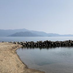 夏の日差しの中