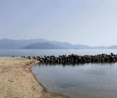 夏の日差しの中