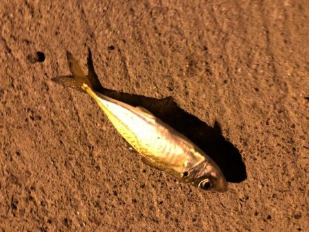 地震後のライトゲーム