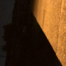 まだまだまだメバリング